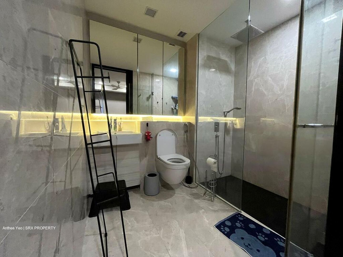 6 Derbyshire (D11), Condominium #580719321